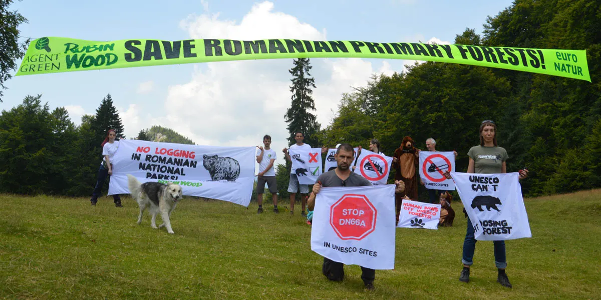 Protest Domogled