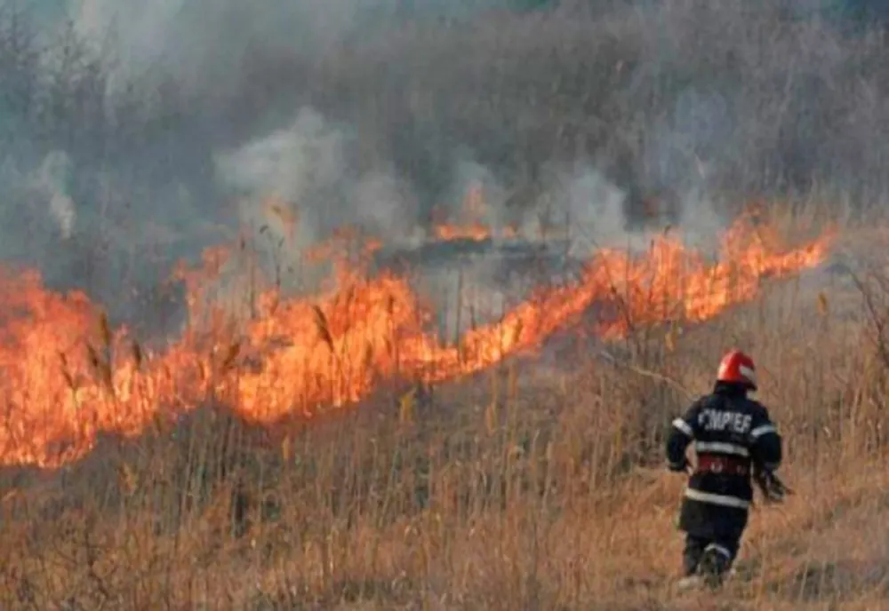 ARDERI NECONTROLATE: Ce amenzi riscă cei care provoacă incendii de vegetație uscată