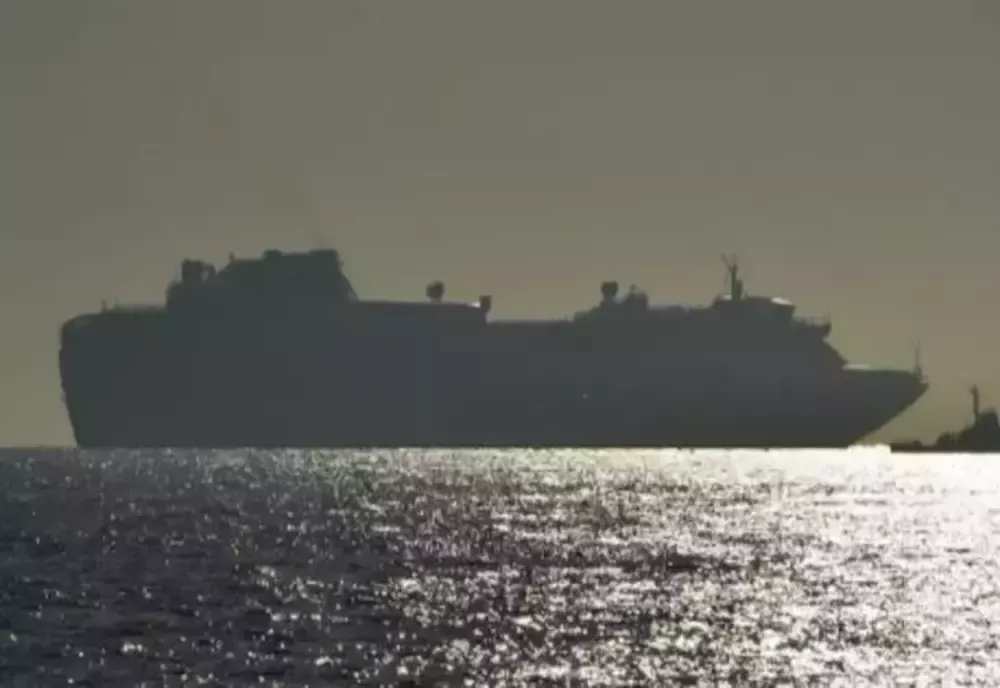 VIDEO | Zeci de români blocați pe un vas de croazieră, în situație critică