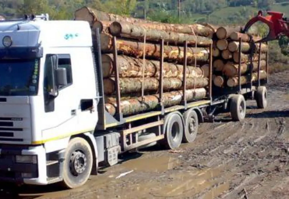 Camere de supraveghere pentru prevenrea furtului de lemne din pădurile cărășene