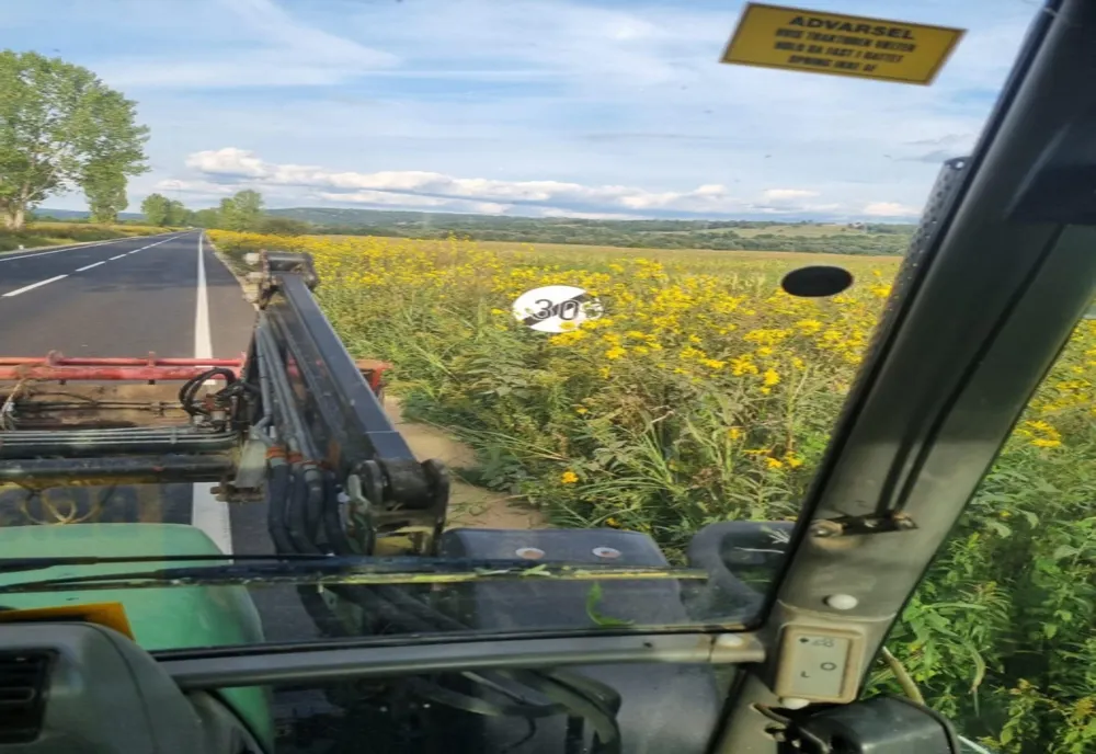 Lucrări pe șoselele din Caraș-Severin, pentru o mai bună vizibilitate în trafic