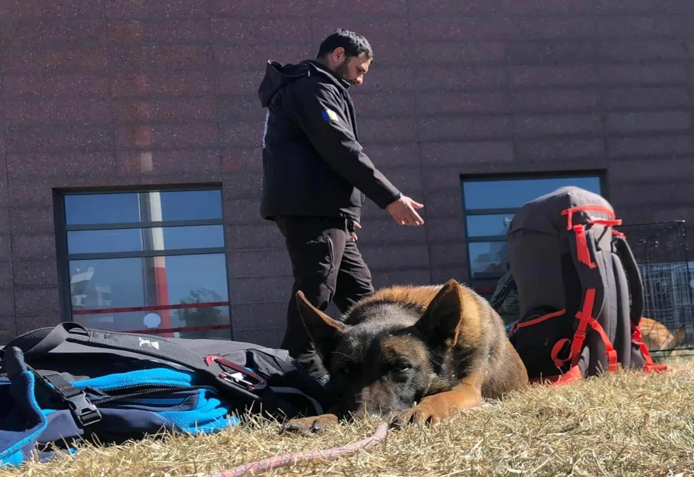 Câine speial antrenat din Caraș-Severin, în misiune în Turcia, pentru salvare după dezastru