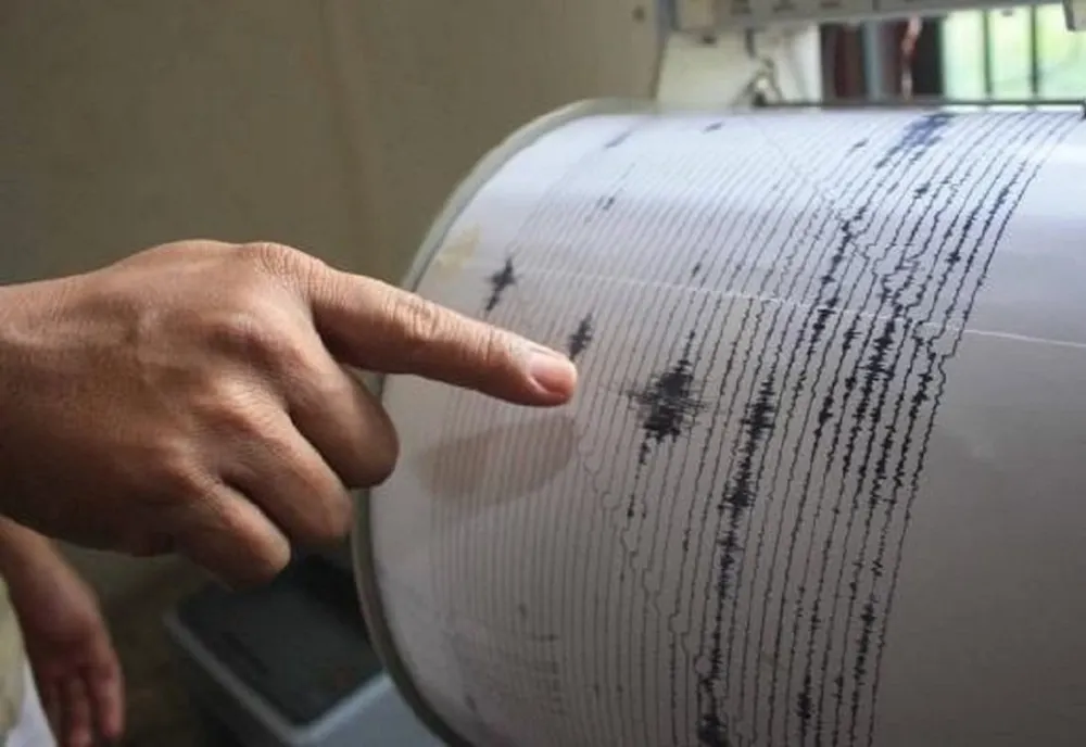 Cutremur cu magnitudine de 4,6 pe scara Richter în vestul țării