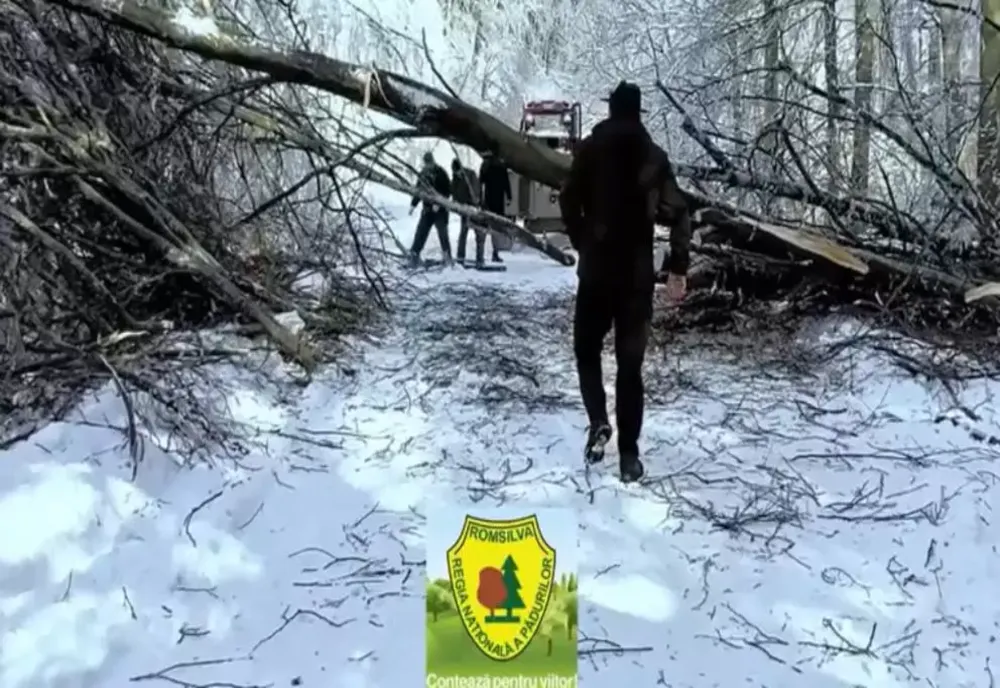 Intervenție în condiții extreme în Caraș-Severin: drumuri blocate de copaci și zăpadă