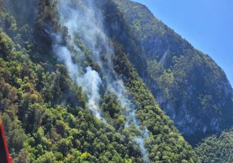 Incendii de litieră la Băile Herculane / Foto: ISU Caraș-Severin