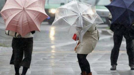 32414142_41911400_41833500