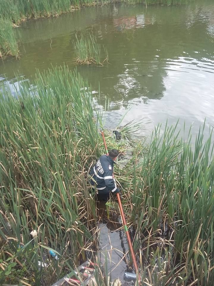 36175903_1744582295617371_3188483196840837120_n