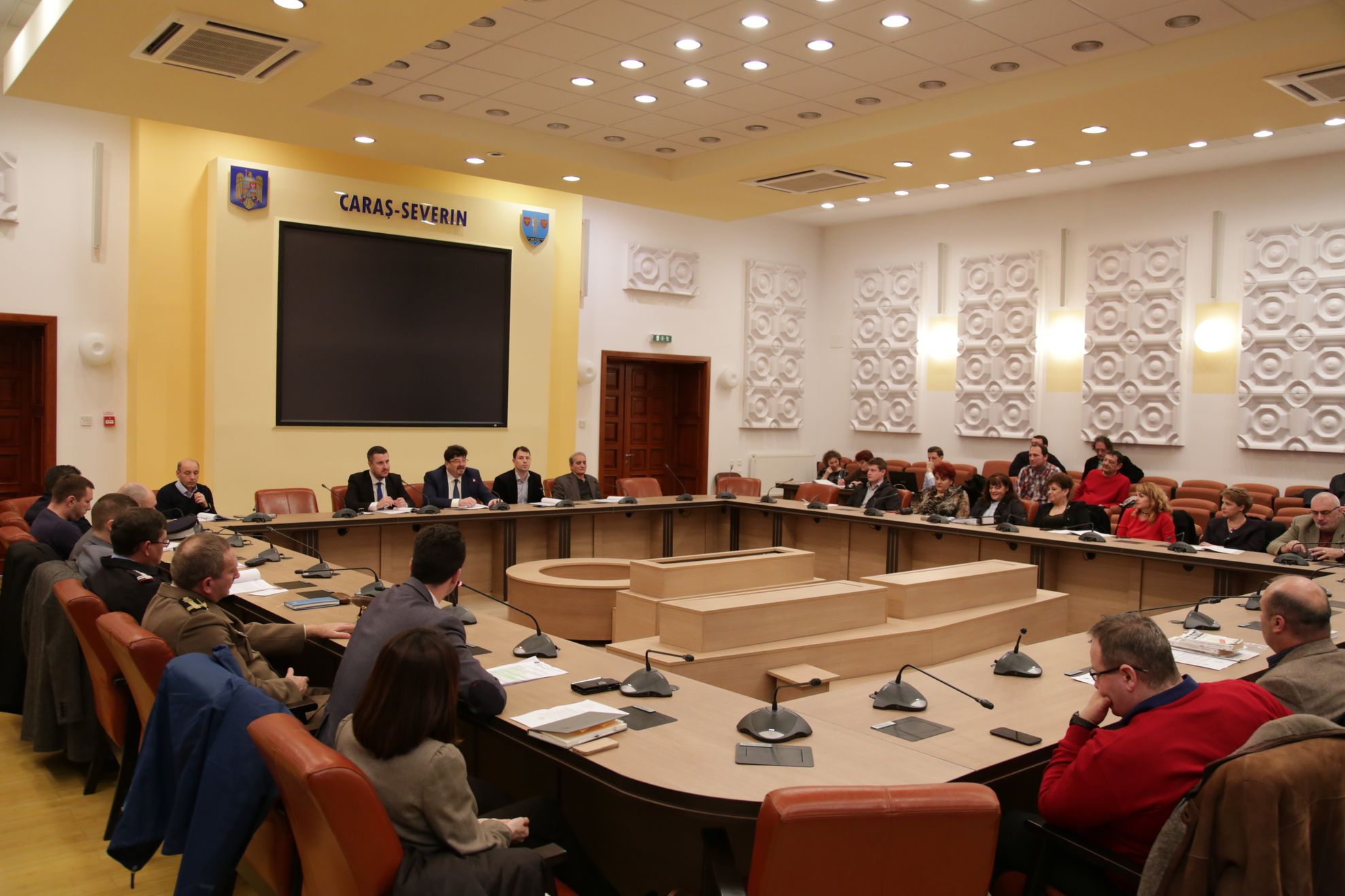 consiliul județean caras-sevein
