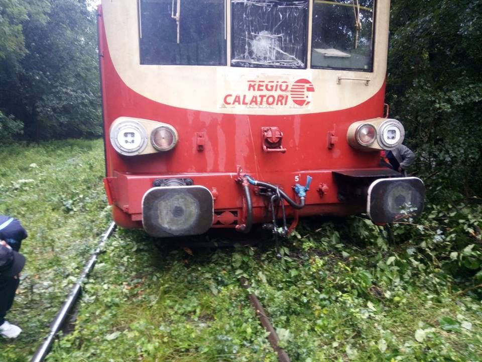 tren deraiat Moniom (1)