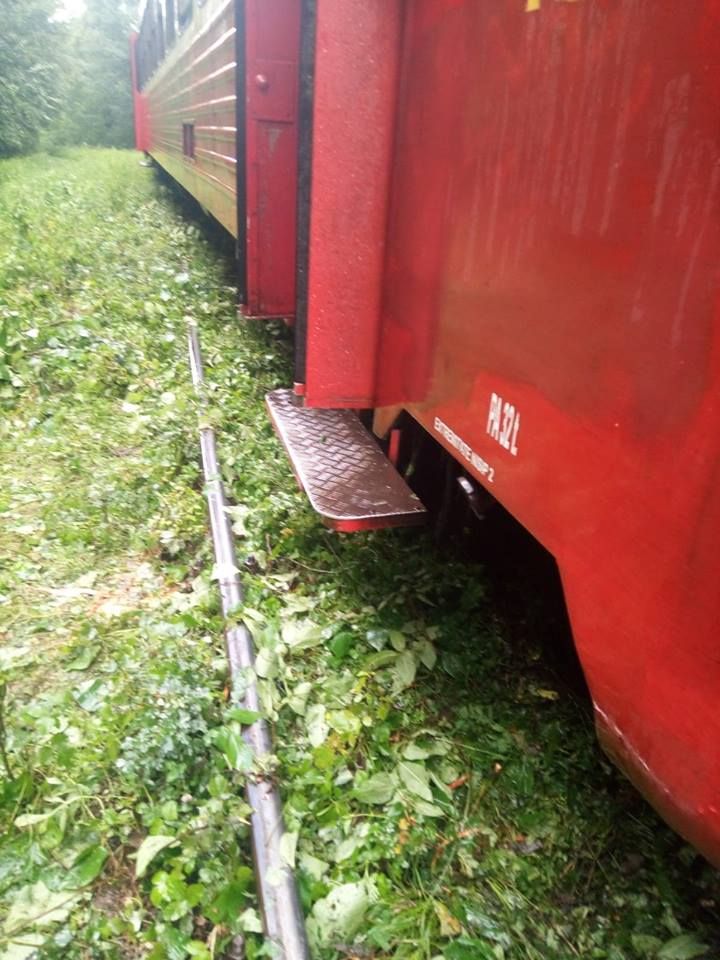 tren deraiat Moniom (2)