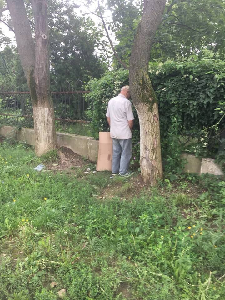moldova nouă cetățean urinează în public