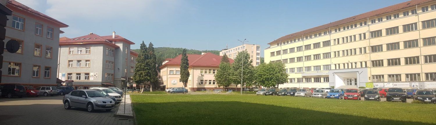 panorama UEM