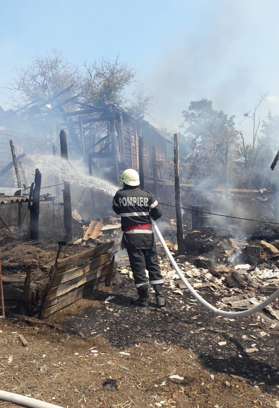 incendiu stupi Oravița