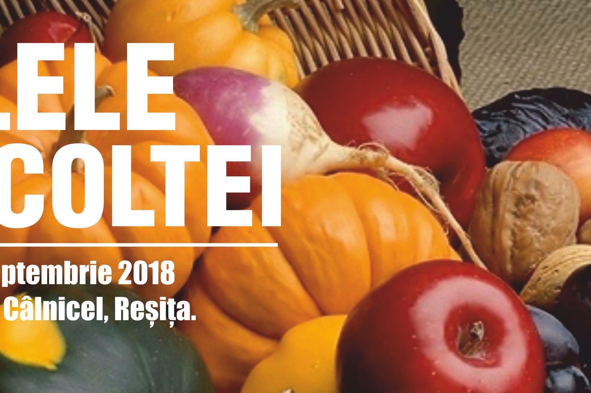 Cover zilele recoltei