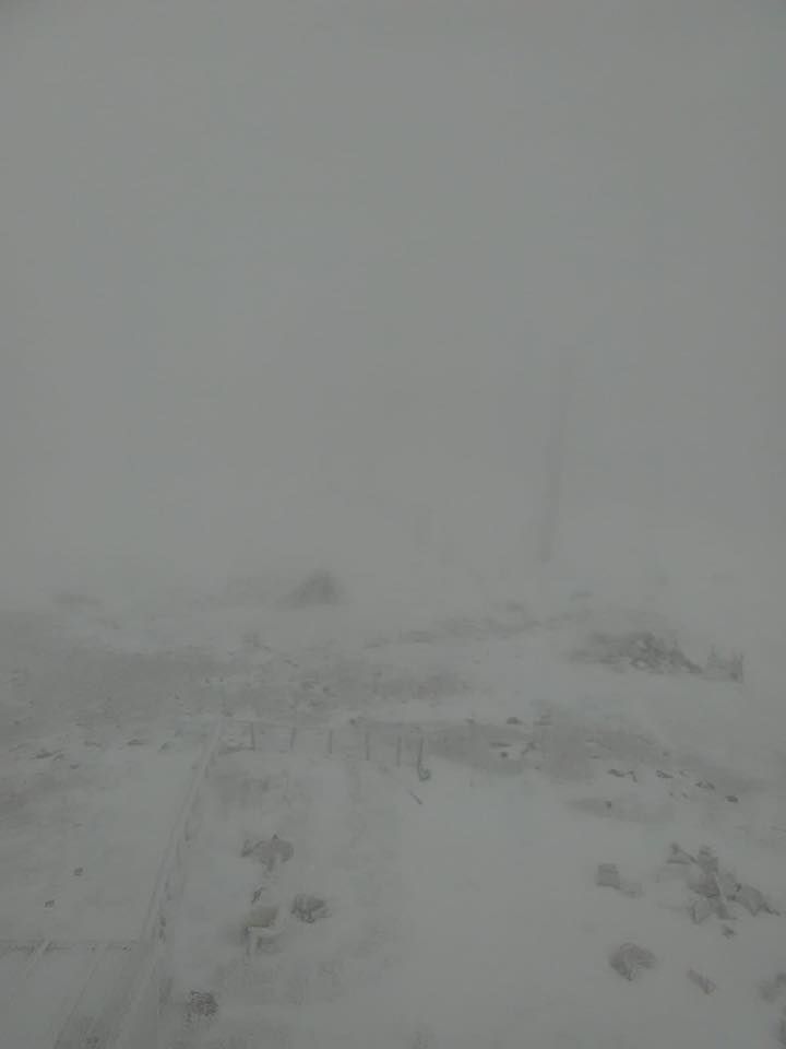 prima ninsoare Țarcu (1)