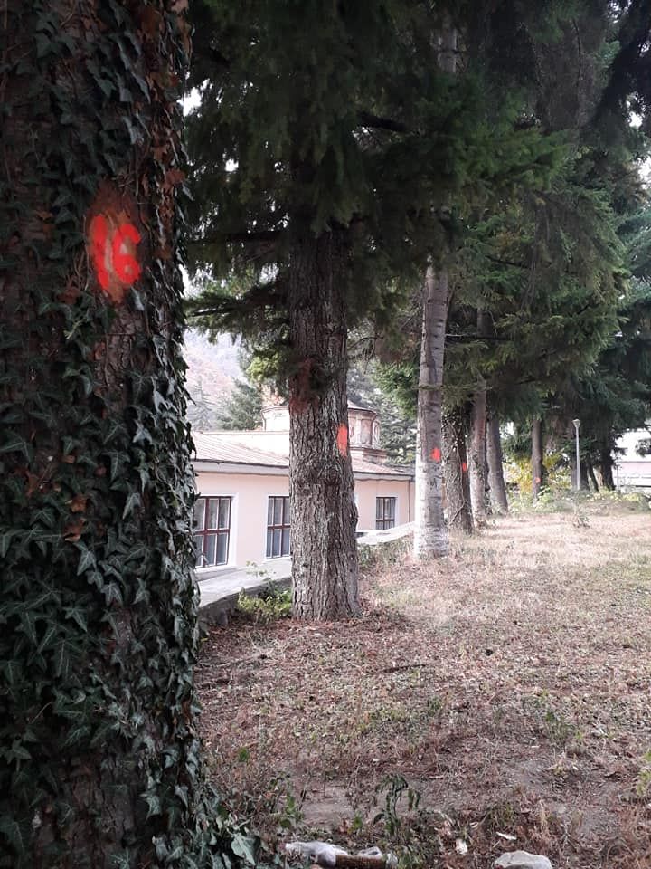 44383277_10216501503640795_640723710843551744_n