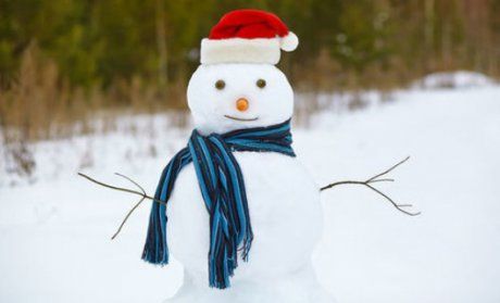 ninsoare_om_de_zapada_71877600