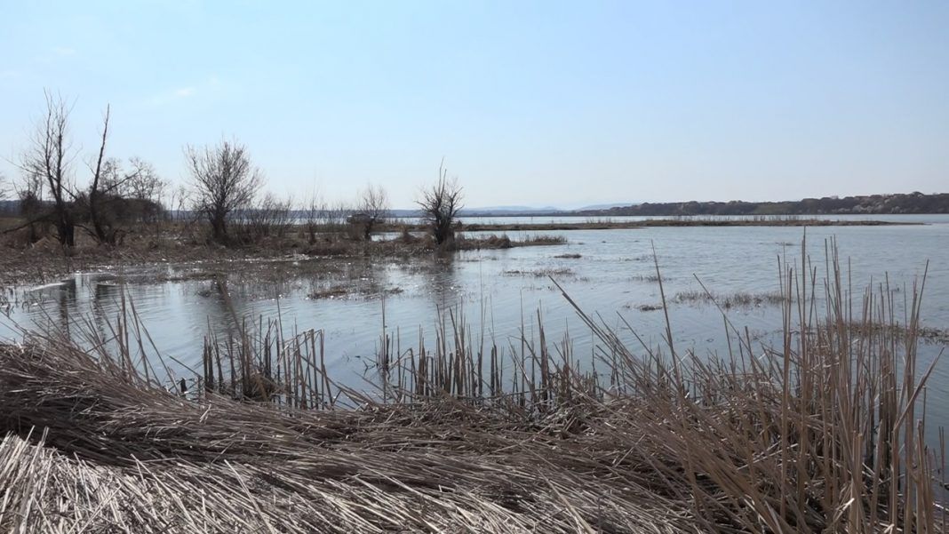 loc-cu-pesti-1-1068x601