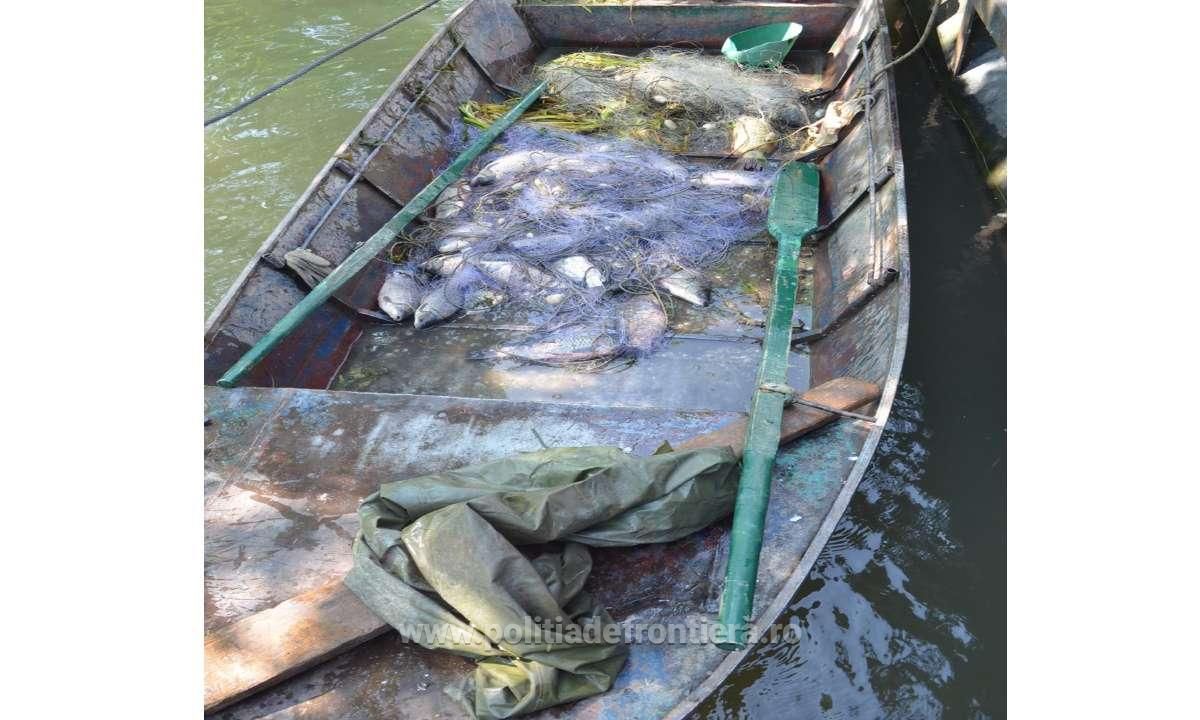 pste pesari frontiera