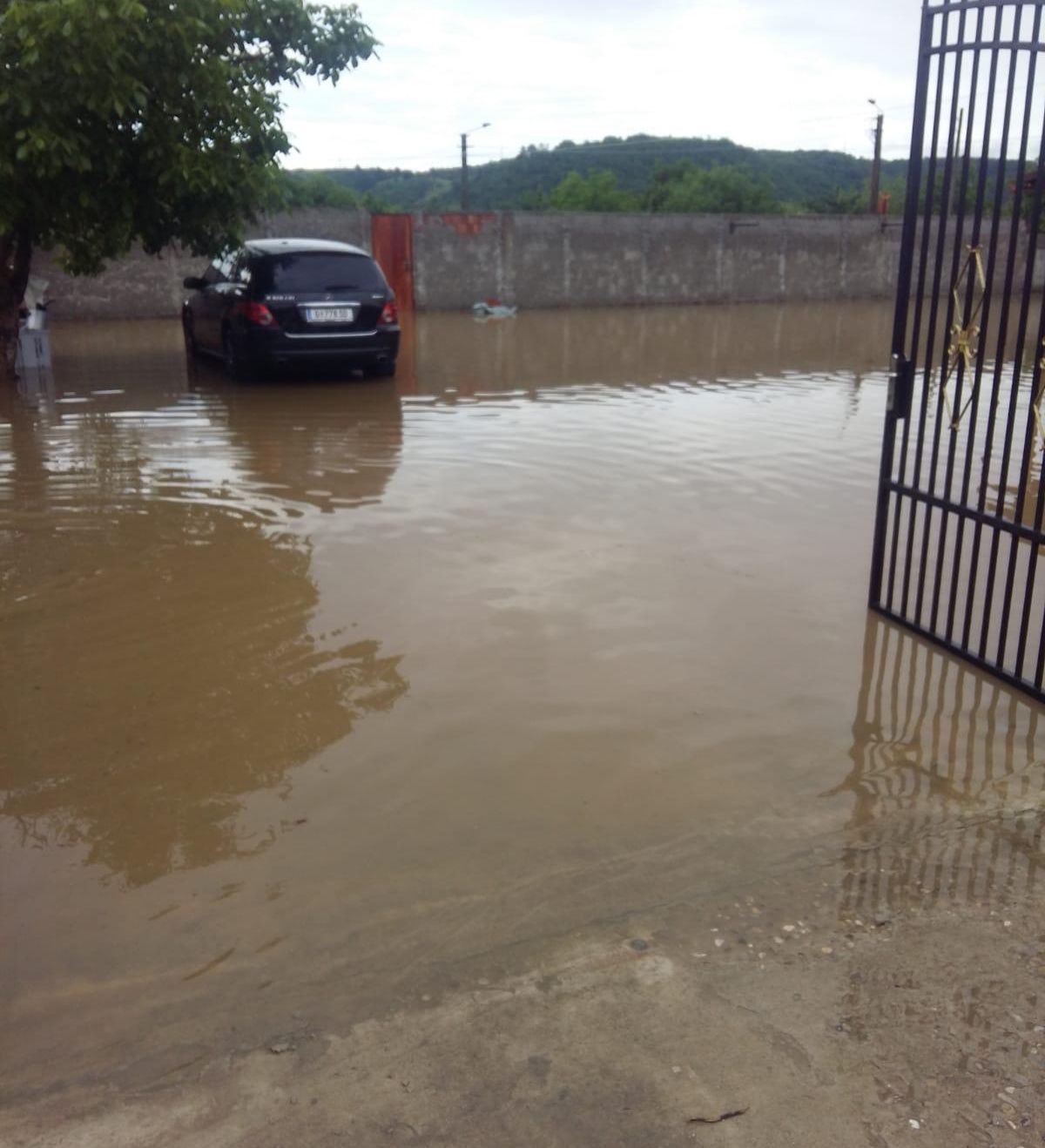 WhatsApp Image 2019-06-01 at 19.16.54