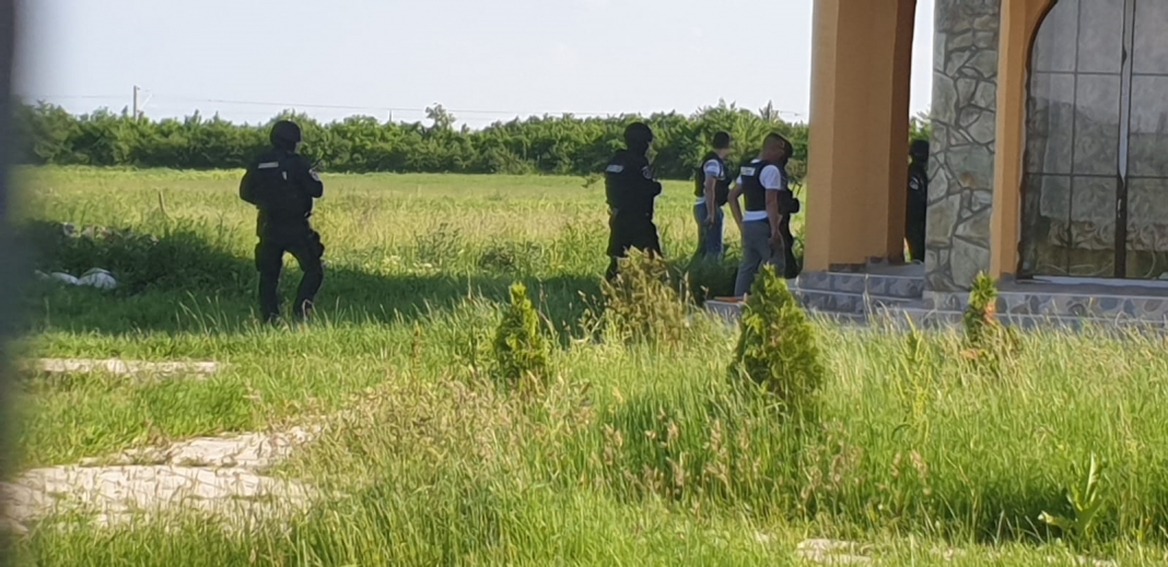 cautari-izvin-1068x519