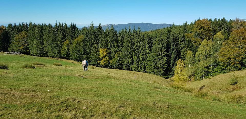 42677837_1852771911465728_5043680086826418176_n