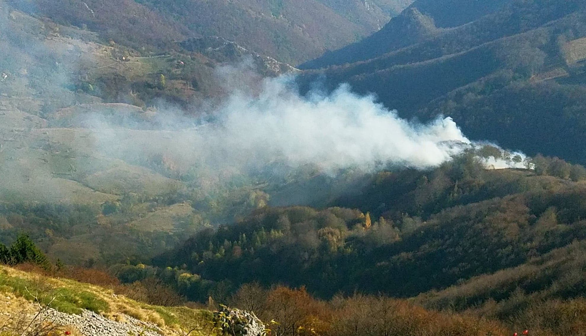 1Incendiu de vegetație în Parcul Național Domogled – Valea Cernei
