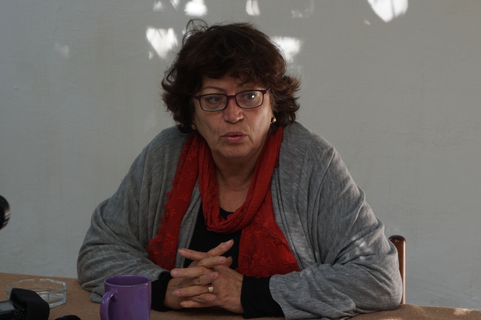 Camelia Duca, preşedinta Asociaţiei Metarsis