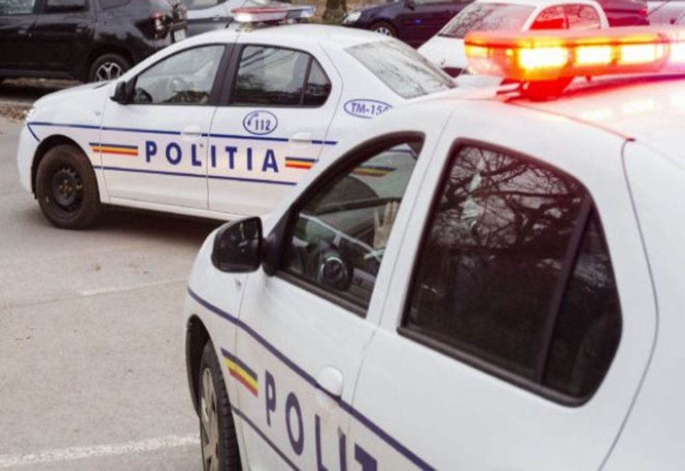 În Caraș-Severin încă se fură codru „ca în codru”