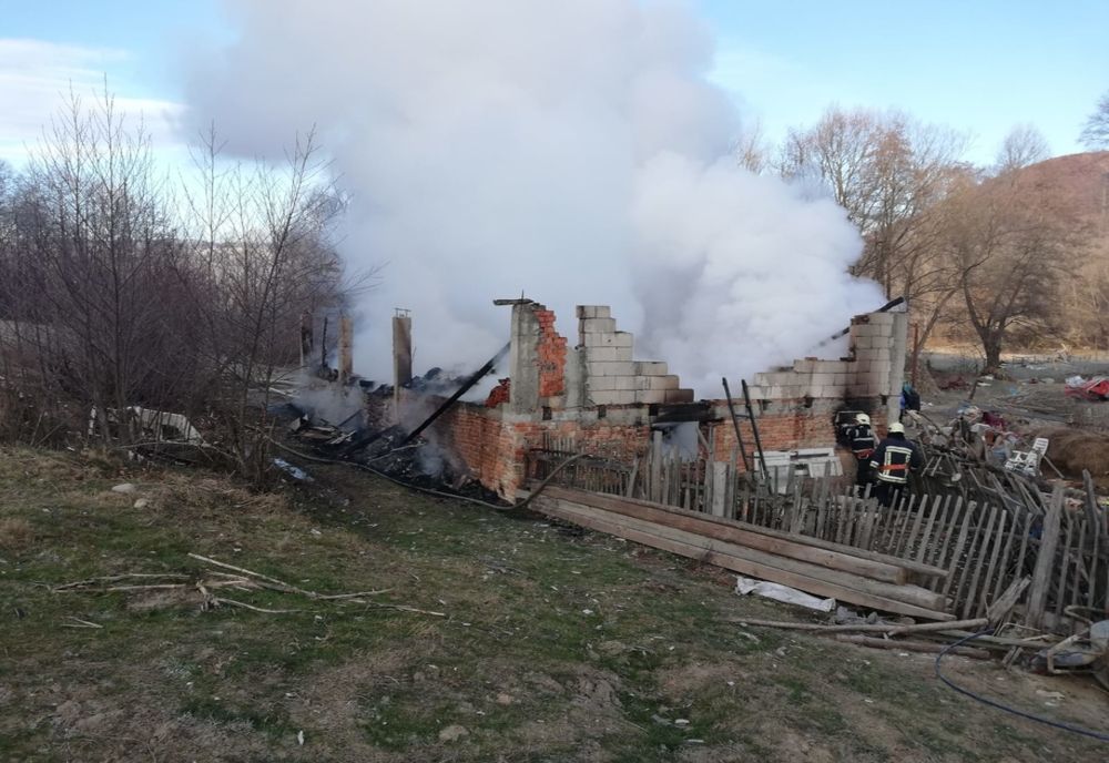 Animale moarte într-un incendiu pus intenționat în vestul țării