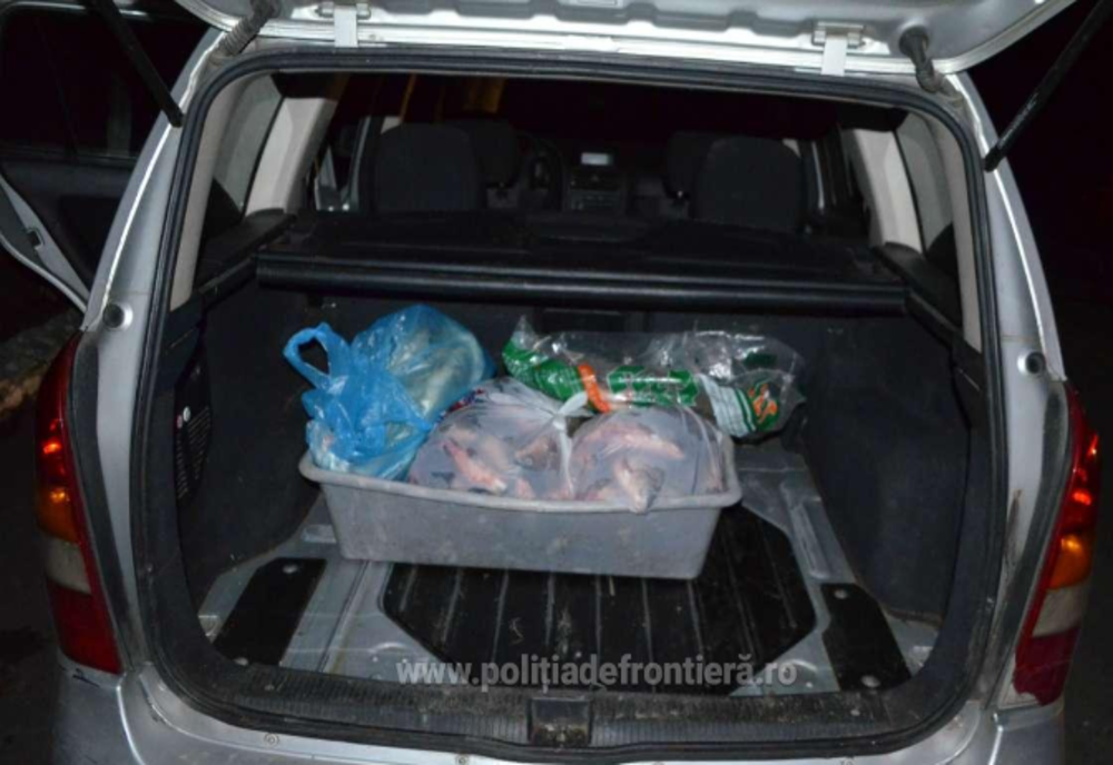 Pește confiscate de poliţiştii de frontieră
