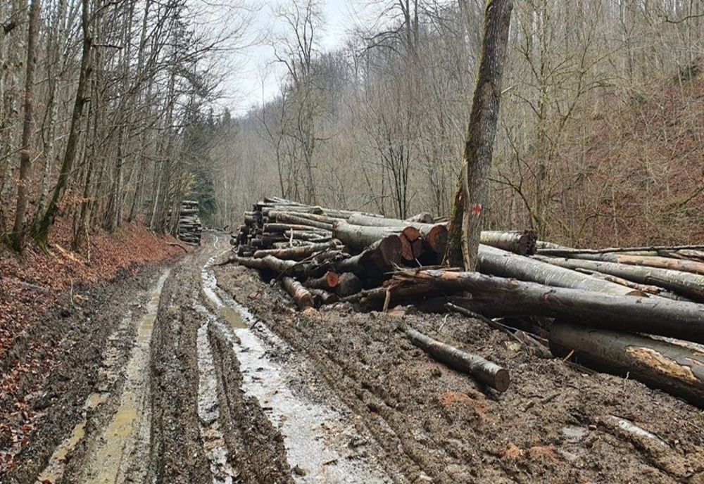 Proiect USR pentru înfiinţarea unei direcţii de investigare a infracţiunilor de mediu VIDEO