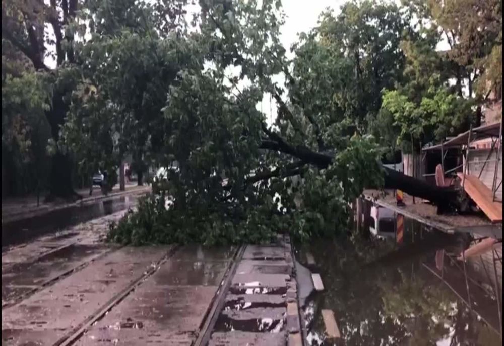 Avertizare meteo de vânt puternic în Timiș și Caraș Severin