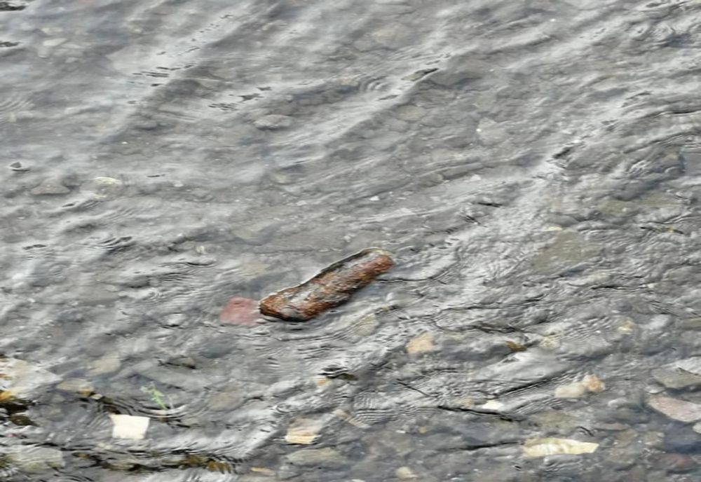 Pompierii militari cărășeni, o nouă interventie de asanare muniție neexplodată