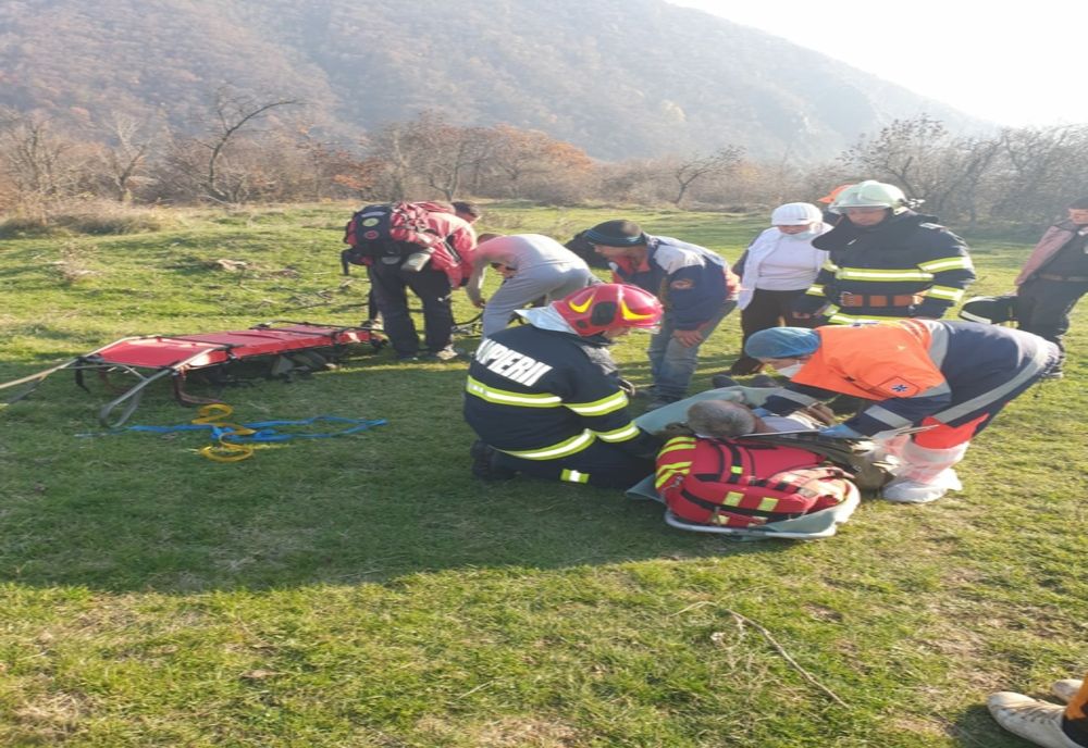 Bărbat strivit de un copac, într-o pădure din zona Băile Herculane