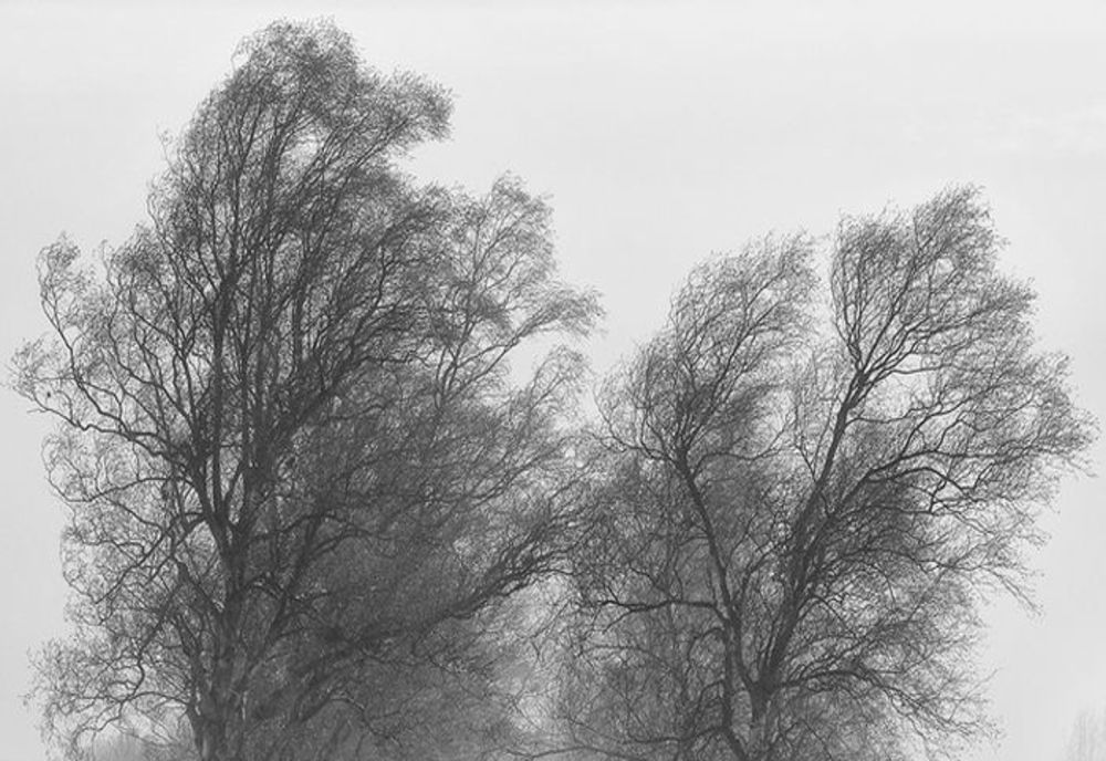 Județul Caras-Severin, sub atenționare cod portocaliu de vânt puternic