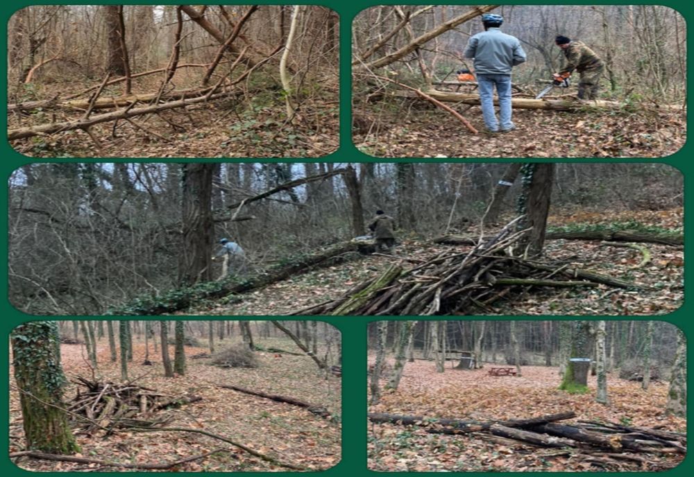 Împărțim potecile, proiect pentru îmbunătățirea traseelor turistice