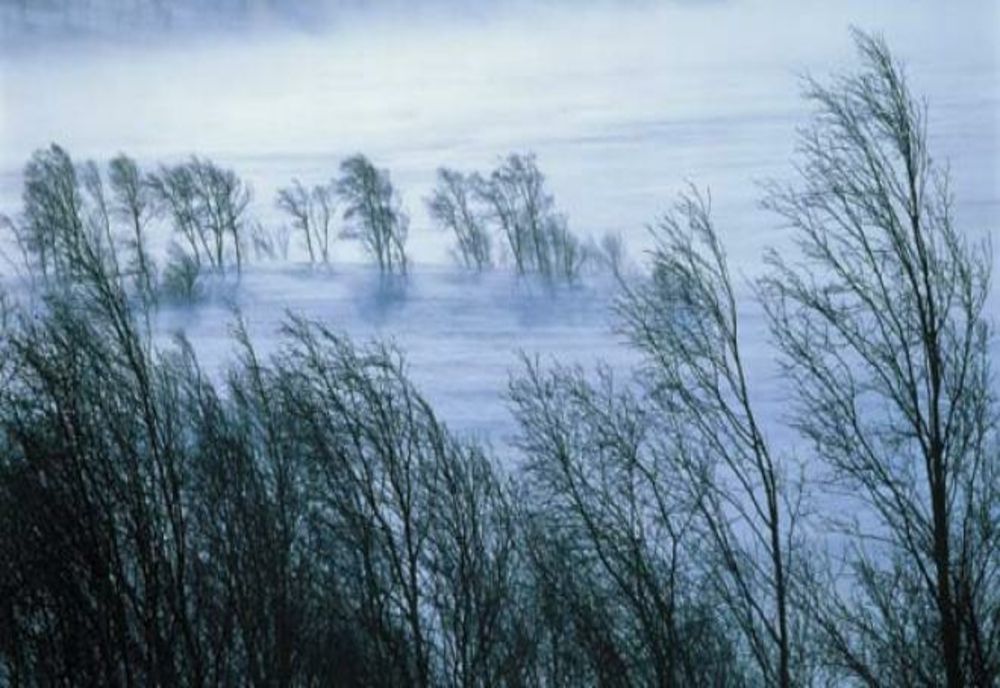 Cod galben de vânt puternic în județele Caraş-Severin şi Hunedoara