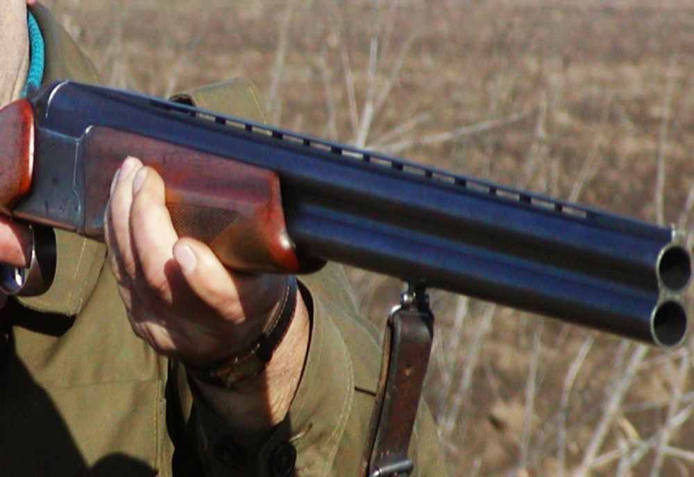 "Vânătoare" dementă: doi câini au fost împușcați, la Reșița