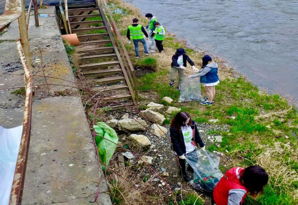Voluntariat pentru Rețița curată
