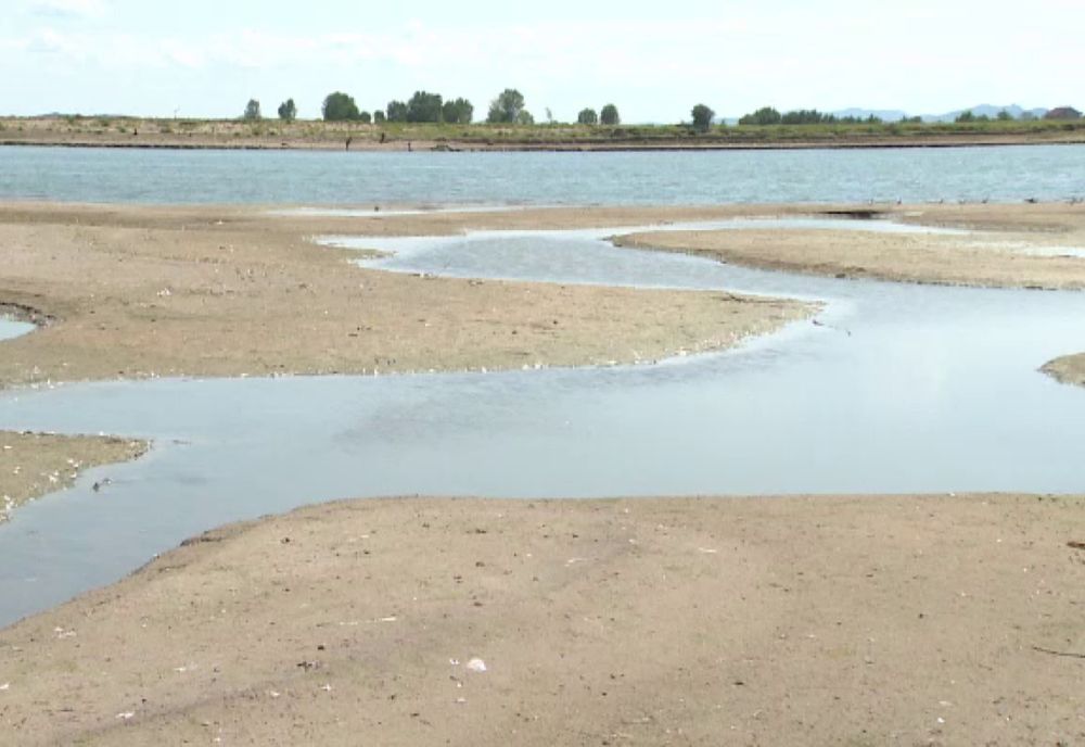 Cu barca, pe Dunăre: călăuzele transportă migranți ilegal