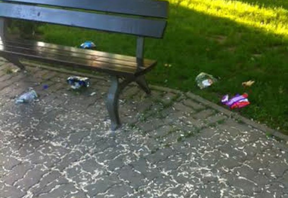 Covoare de coji de seminte strică aspectul locurilor de plimbare