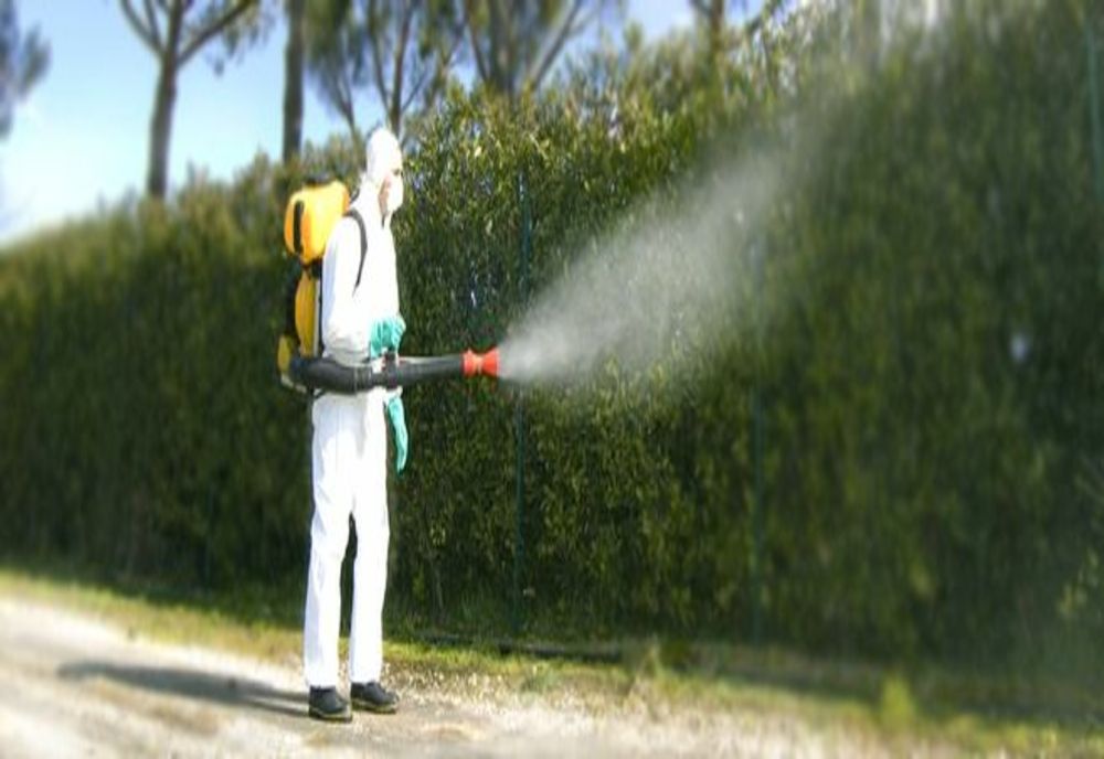 Dezinsecție la Reșița