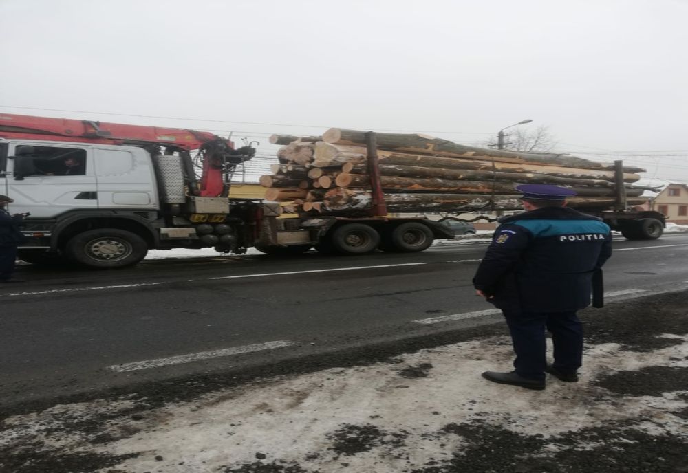 Controale pe drumurile din Caraș-Severin pentru depistarea transporturilor ilegale de lemn. Amenzi de peste 12.000 de lei