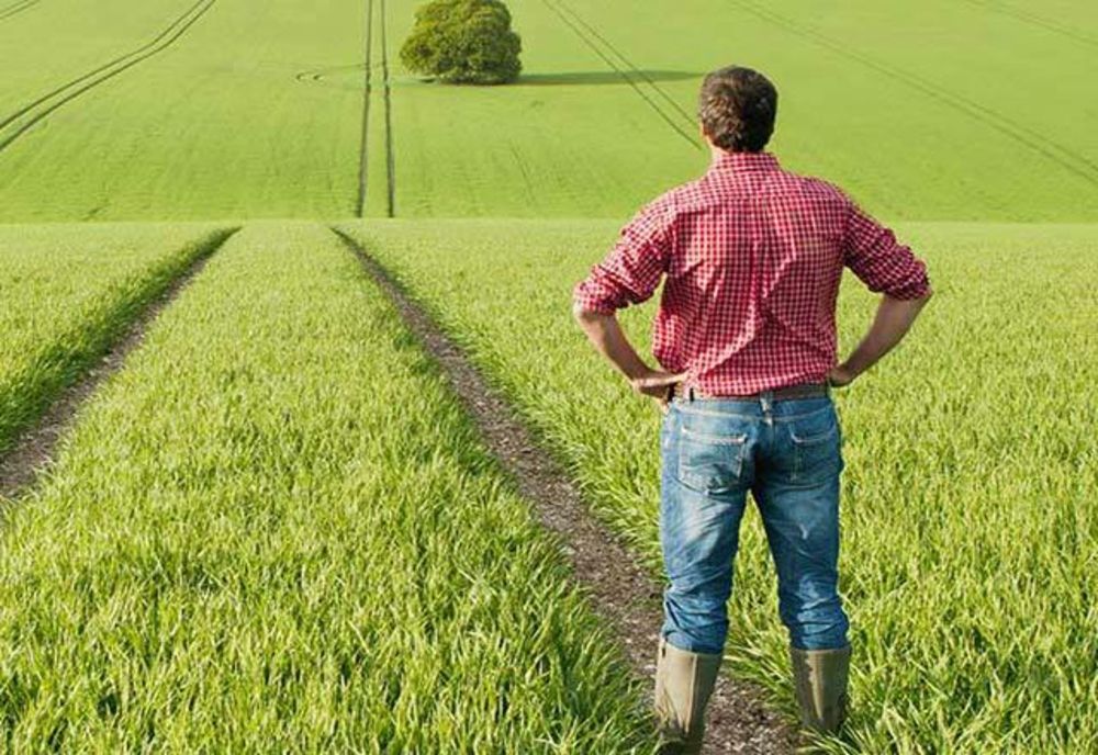 Cursuri pentru agricultori şi fermieri la Direcţia pentru Agricultură Caraş-Severin