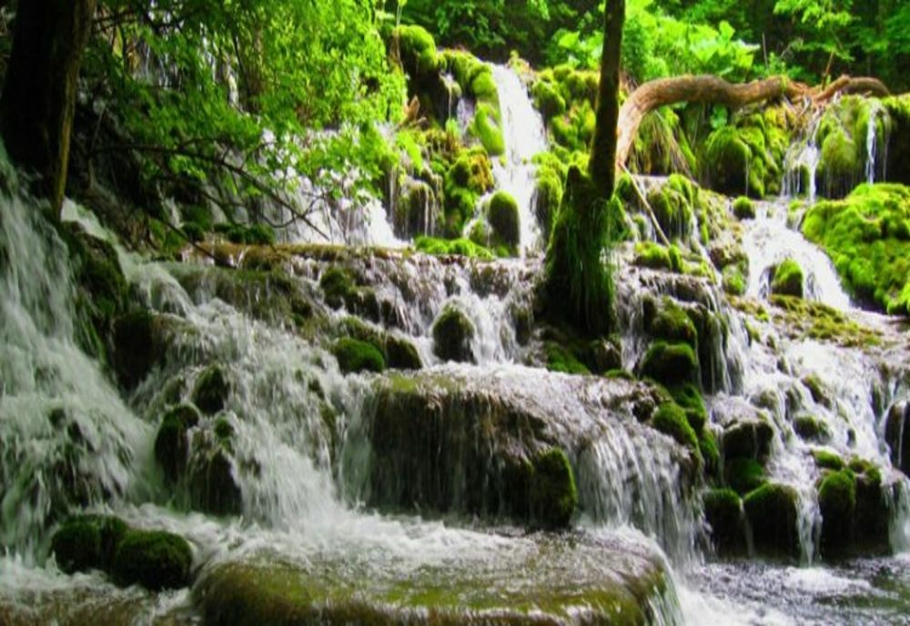 Finanțare europeană de peste 4 milioane de euro pentru o arie protejată din Caraș-Severin