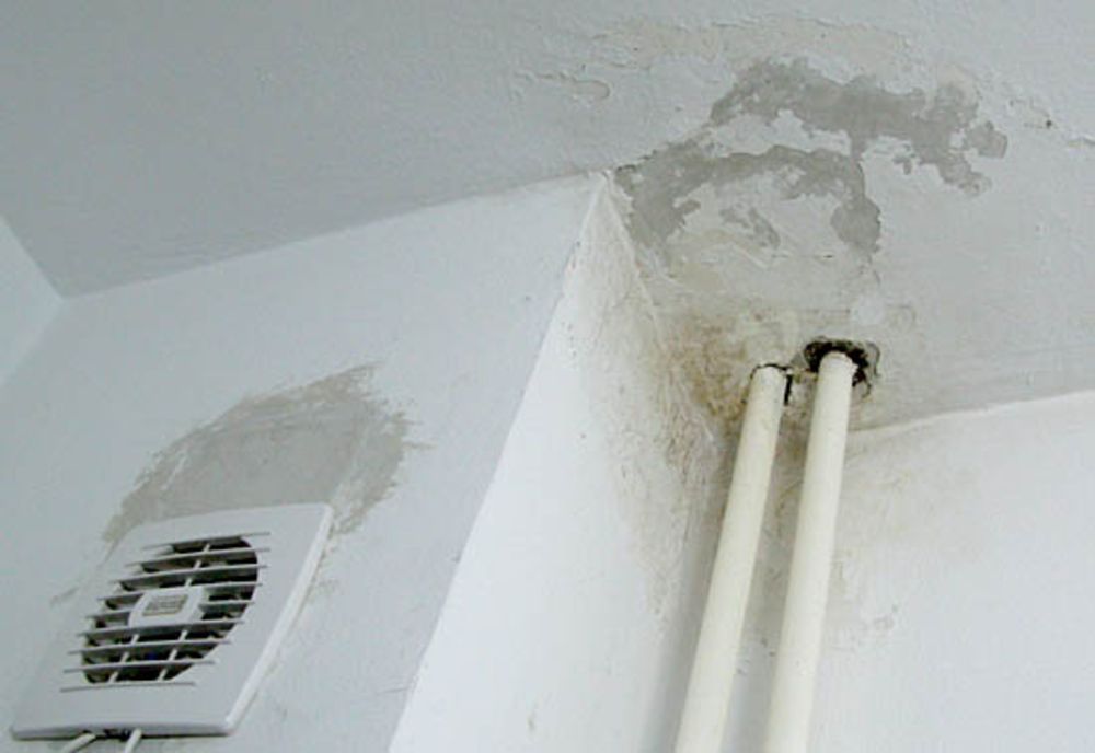 Locatari disperați, la Reșița: apartamente distruse de apă