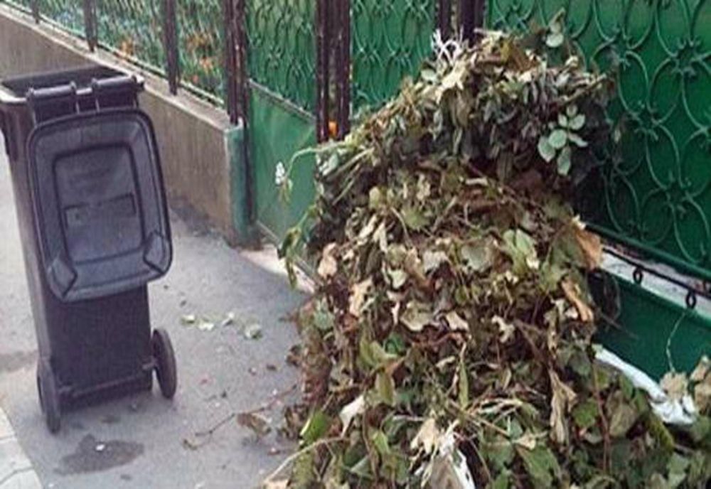 Precizări despre colectarea deșeurilor vegetale, la Reșița
