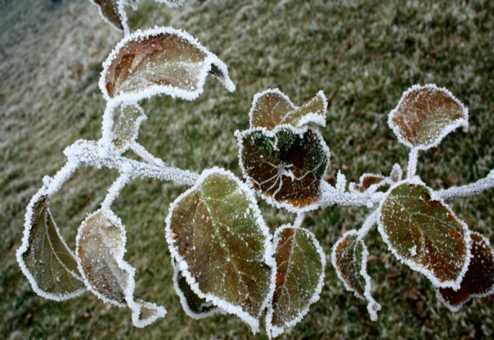 VREMEA 20 MARTIE. TEMPERATURI ÎN CREȘTERE ÎN APROAPE TOATĂ ȚARA