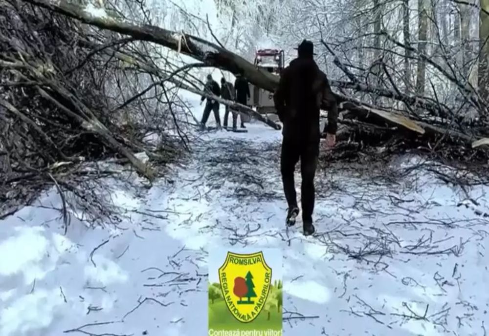 Intervenție în condiții extreme în Caraș-Severin: drumuri blocate de copaci și zăpadă 